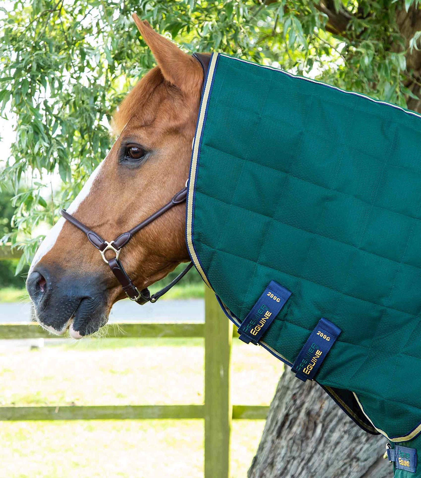 Premier Equine Lucanta 200g Stable Rug with Neck Cover Green