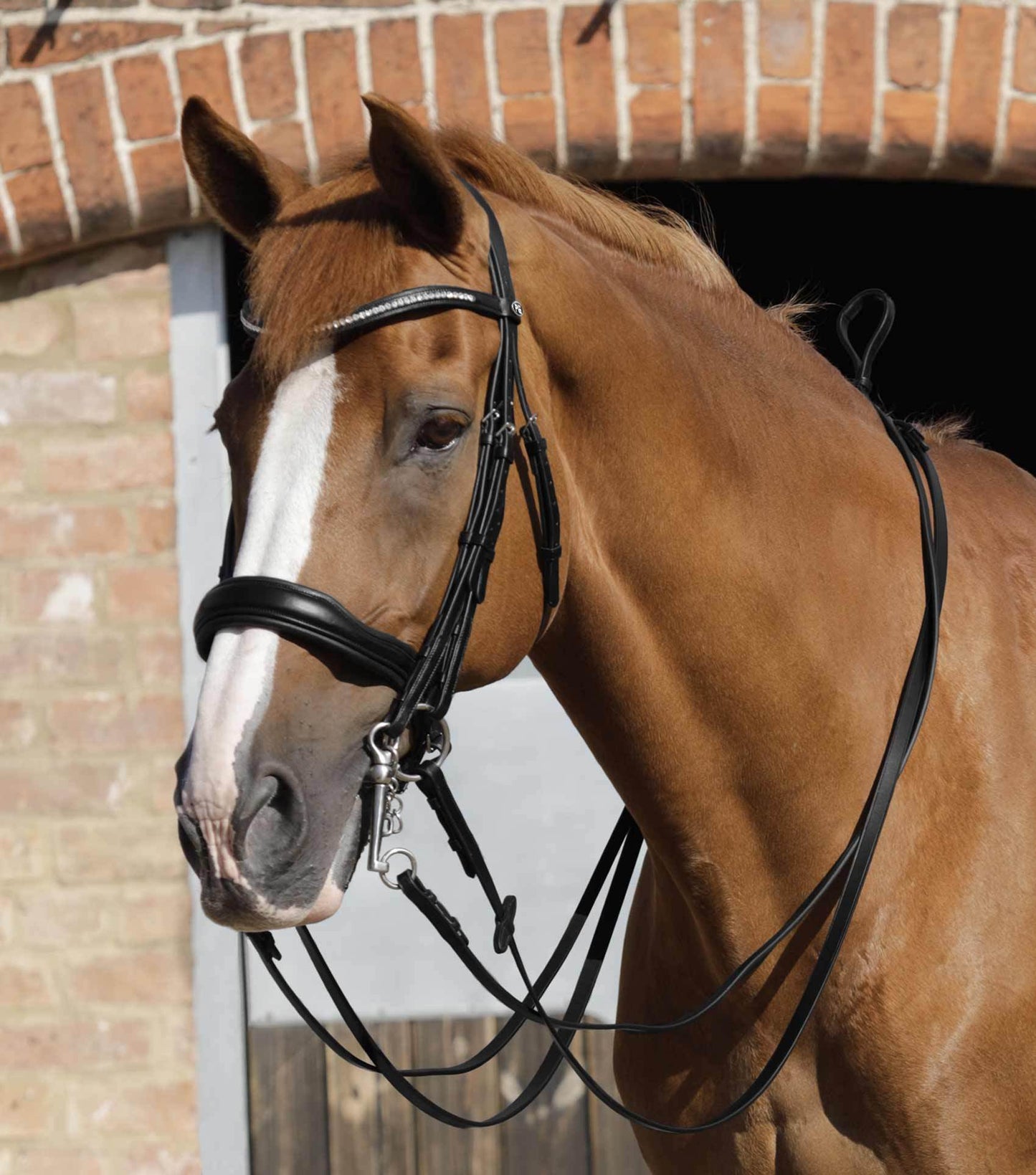 Premier Equine Luigi Plain Leather Reins - N P Equestrian & Pet Supplies Ltd 