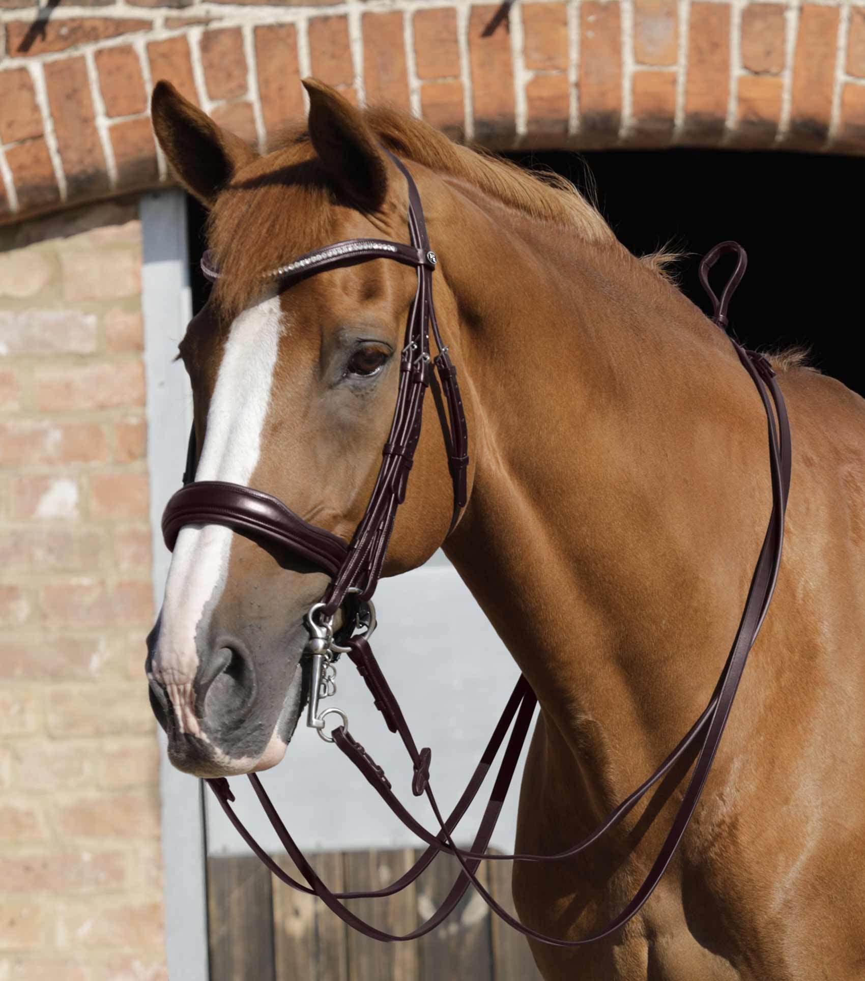 Premier Equine Luigi Plain Leather Reins - N P Equestrian & Pet Supplies Ltd 