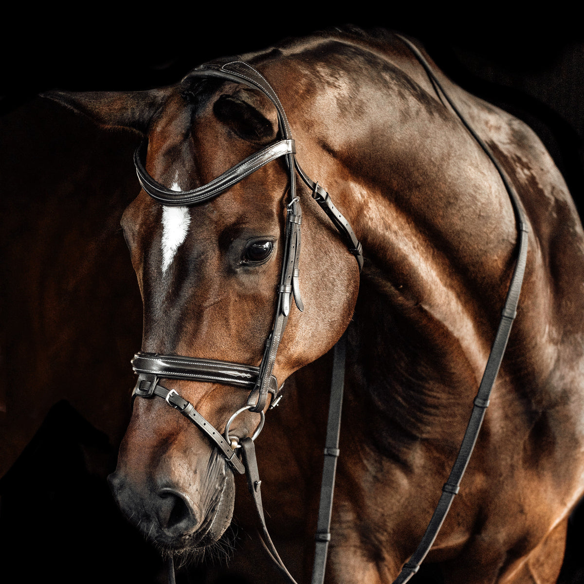 Lumiere Equestrian Milan Snaffle Bridle With Removeable Flash