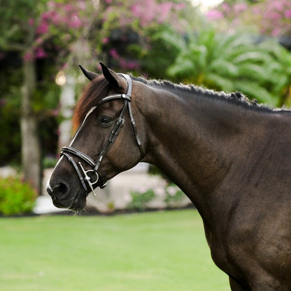 Lumiere Perseus Convertible Anatomical Leather Bridle