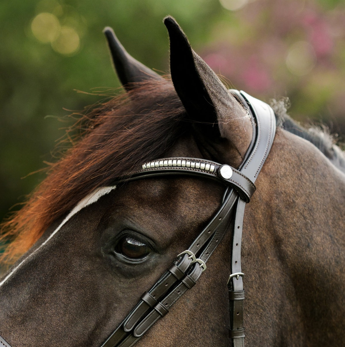 Lumiere Perseus Convertible Anatomical Leather Bridle