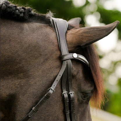Lumiere Perseus Convertible Anatomical Leather Bridle