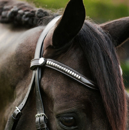 Lumiere Perseus Convertible Anatomical Leather Bridle