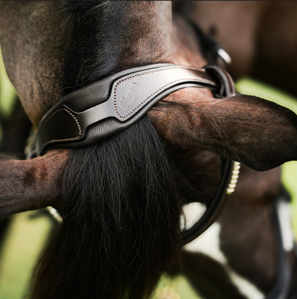 Lumiere Perseus Convertible Anatomical Leather Bridle