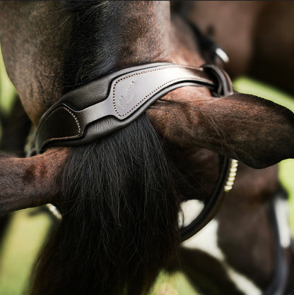 Lumiere Perseus Convertible Anatomical Leather Bridle