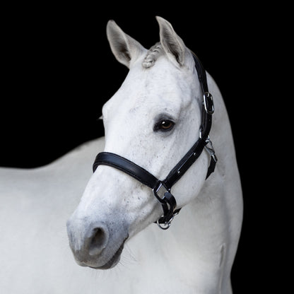 Lumiere Equestrian Vegas Glitter Leather Headcollar