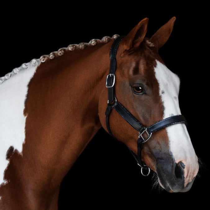 Lumiere Equestrian Vegas Glitter Leather Headcollar