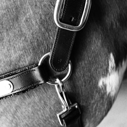 Lumiere Equestrian Vegas Glitter Leather Headcollar