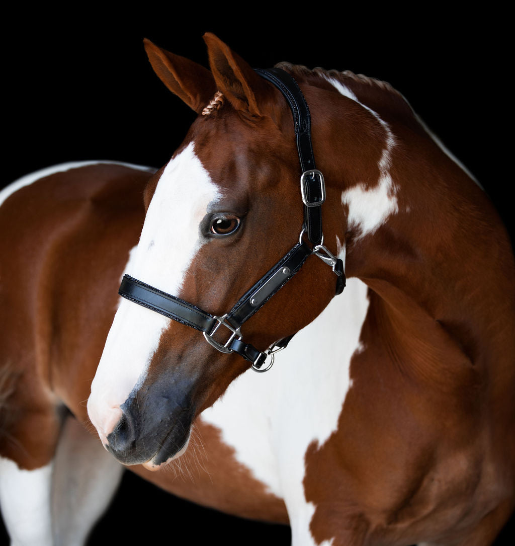 Lumiere Equestrian Vegas Glitter Leather Headcollar