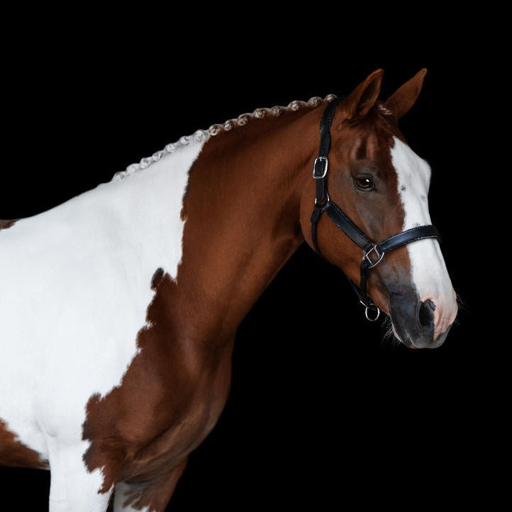 Lumiere Equestrian Vegas Glitter Leather Headcollar
