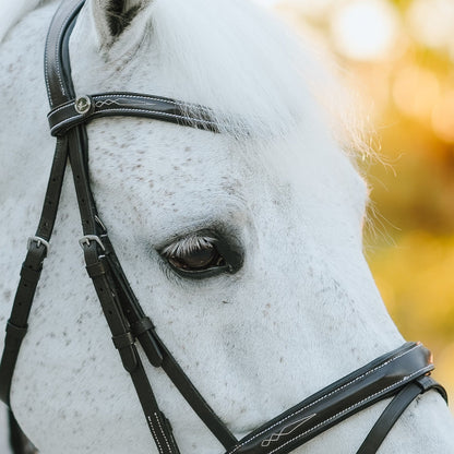 Lumiere Equestrian Milan Snaffle Bridle With Removeable Flash