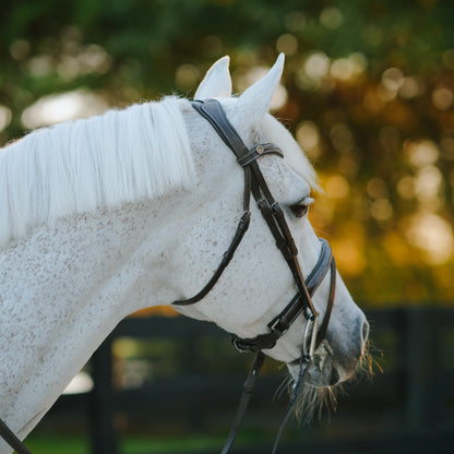 Lumiere Equestrian Milan Snaffle Bridle With Removeable Flash