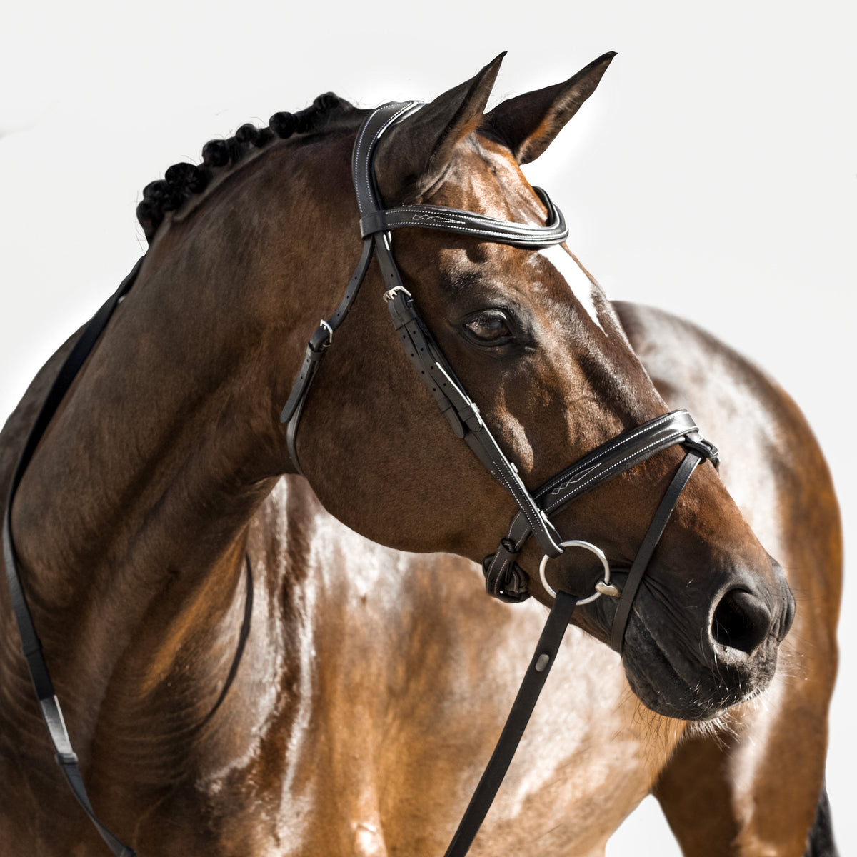 Lumiere Equestrian Milan Snaffle Bridle With Removeable Flash