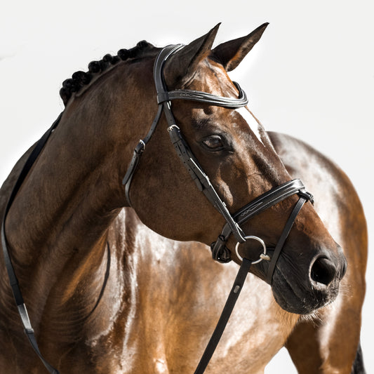 Lumiere Equestrian Milan Snaffle Bridle With Removeable Flash