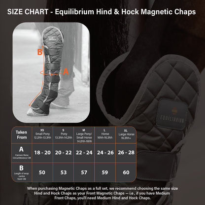 Equilibrium Hind & Hock Magnetic Chaps