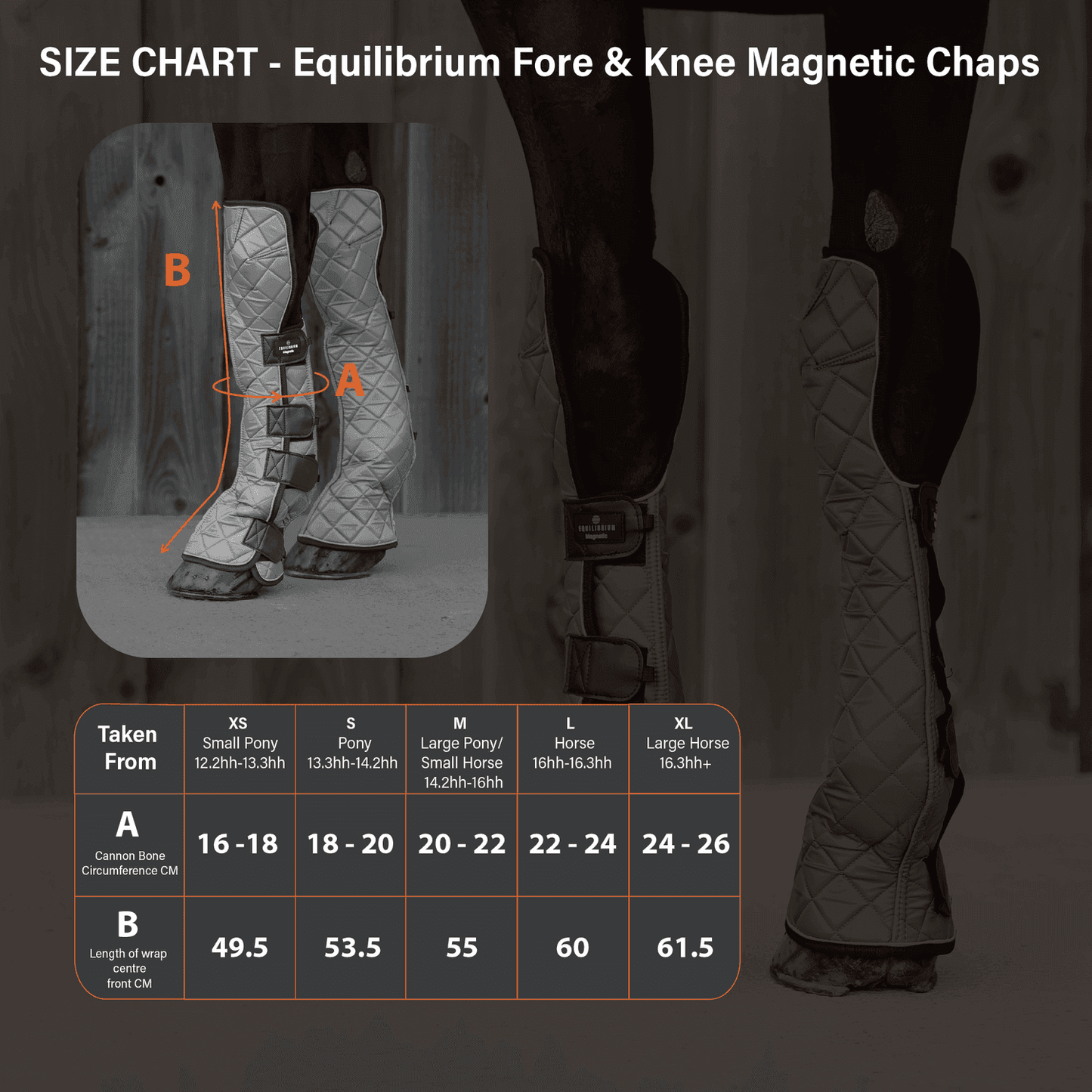Equilibrium Fore & Knee Magnetic Chaps - N P Equestrian & Pet Supplies Ltd 