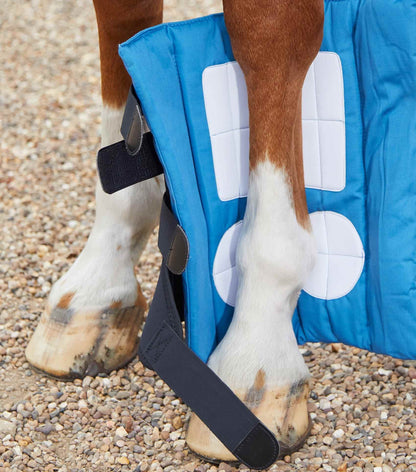 Premier Equine Magni-Teque Magnetic Boot Wraps Inc. Liners - N P Equestrian & Pet Supplies Ltd 
