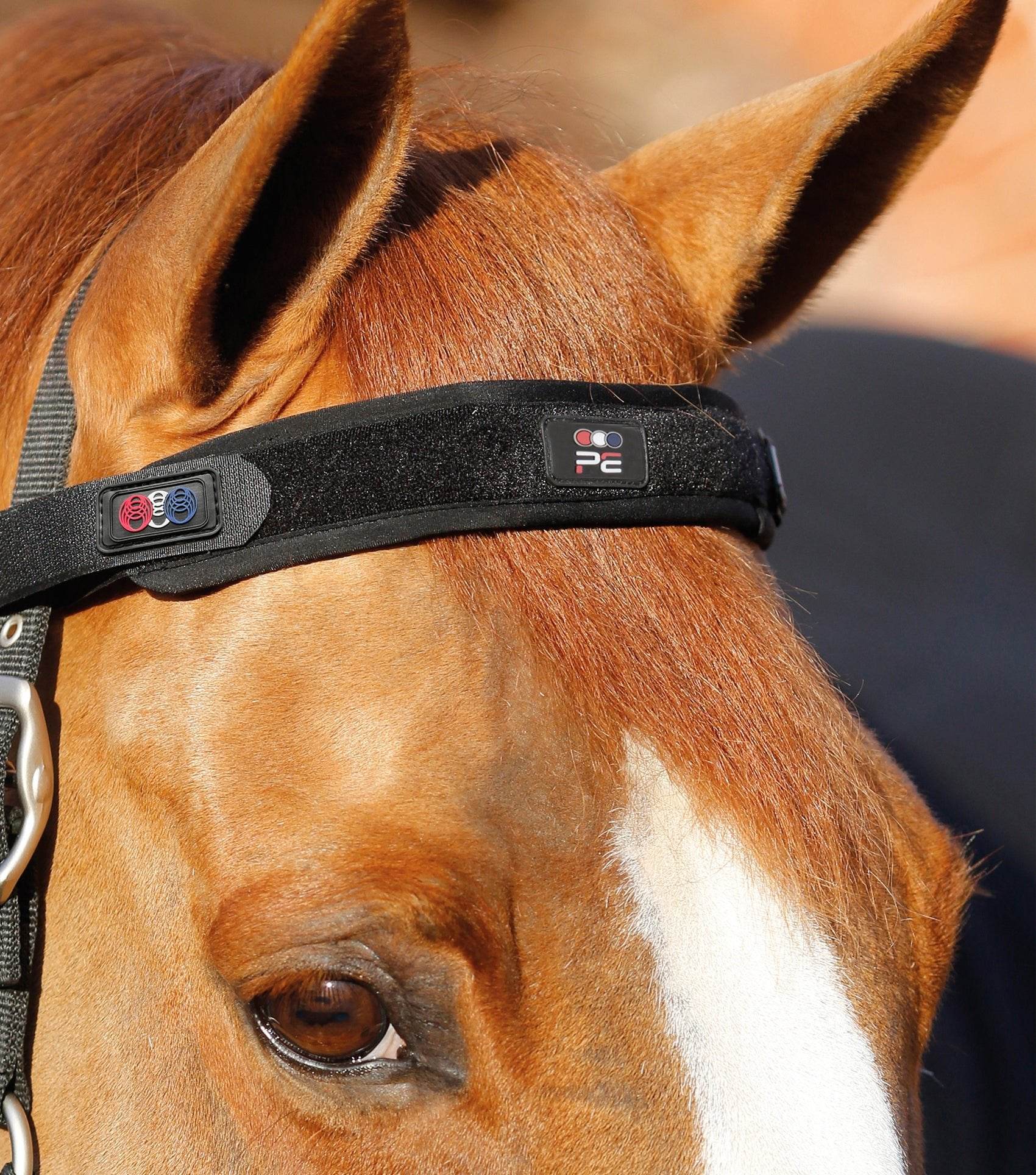Premier Equine Magni-Teque Magnetic Browband - N P Equestrian & Pet Supplies Ltd 