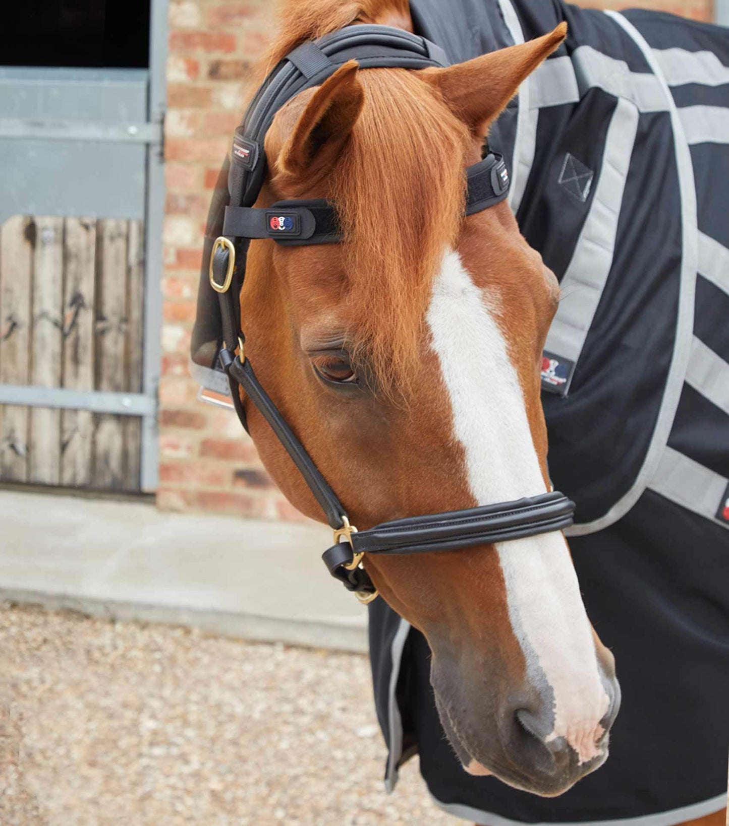 Premier Equine Magni-Teque Magnetic Browband - N P Equestrian & Pet Supplies Ltd 