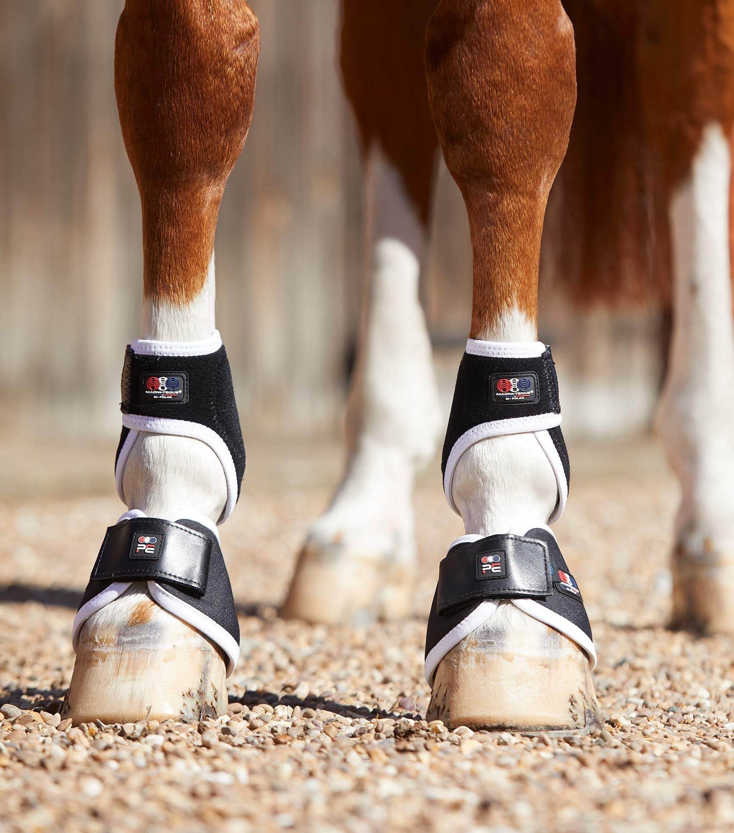 Premier Equine Magni-Teque Magnetic Hoof Boots - N P Equestrian & Pet Supplies Ltd 
