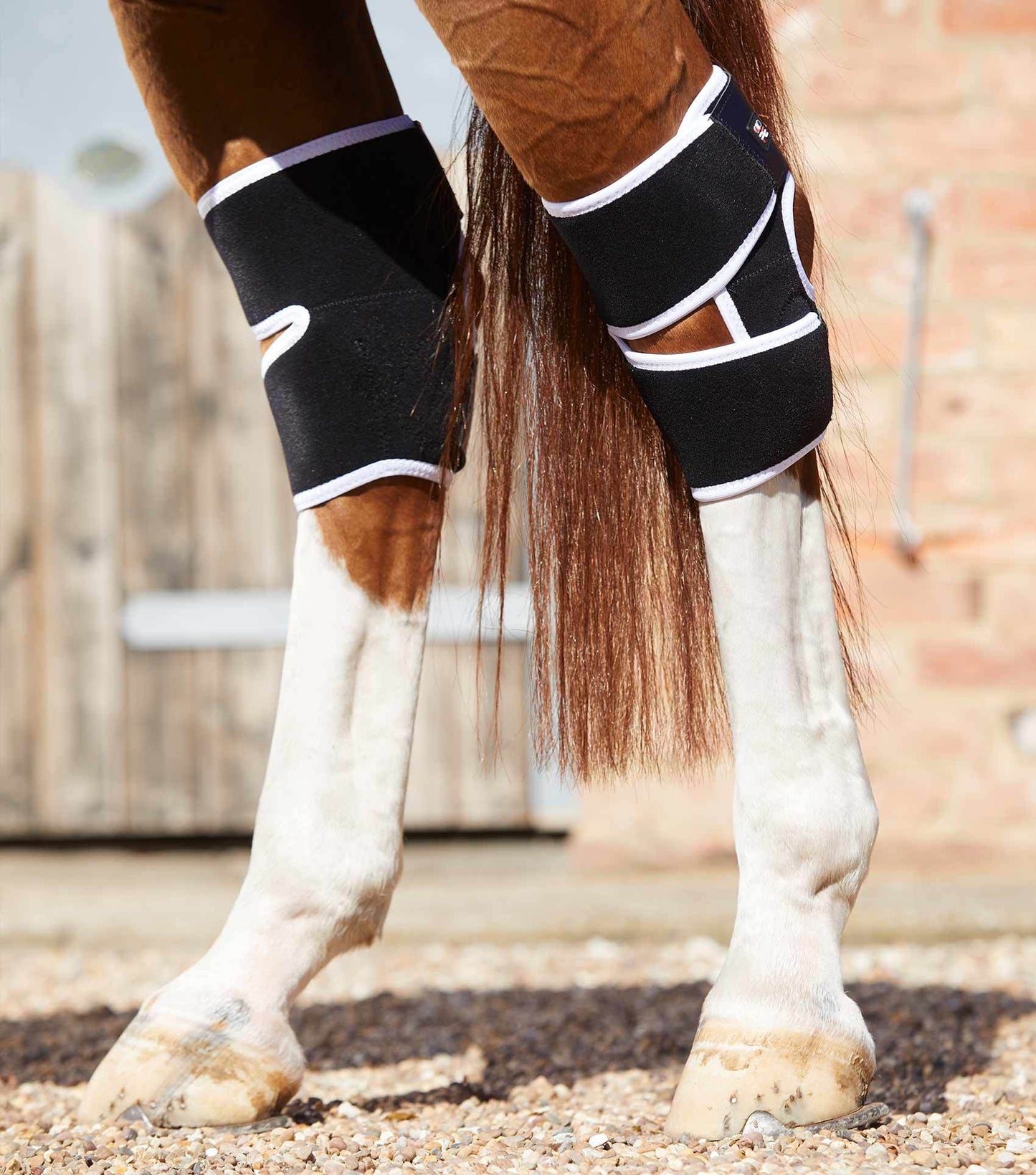 Premier Equine Magni-Teque Magnetic Hock Boots - N P Equestrian & Pet Supplies Ltd 