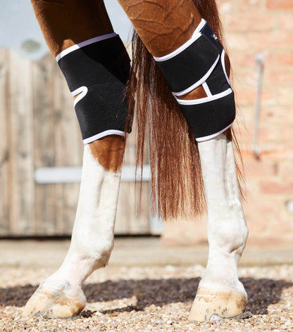 Premier Equine Magni-Teque Magnetic Hock Boots - N P Equestrian & Pet Supplies Ltd 