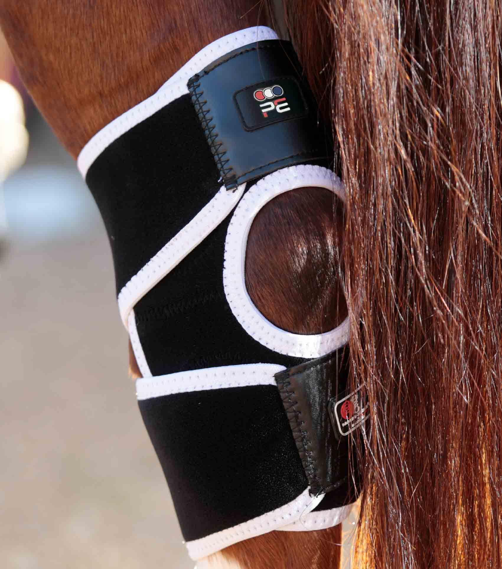 Premier Equine Magni-Teque Magnetic Hock Boots - N P Equestrian & Pet Supplies Ltd 