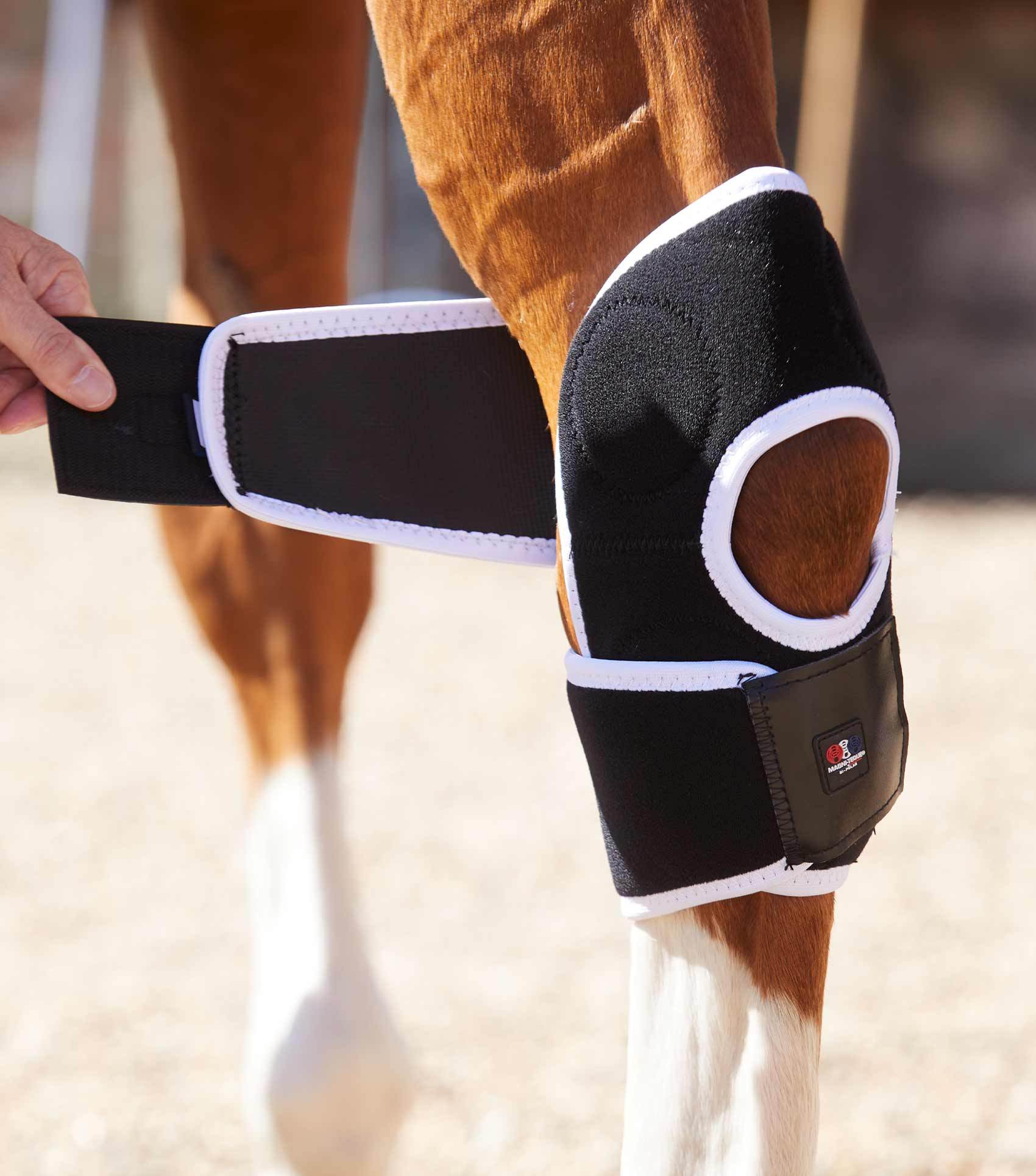 Premier Equine Magni-Teque Magnetic Hock Boots - N P Equestrian & Pet Supplies Ltd 