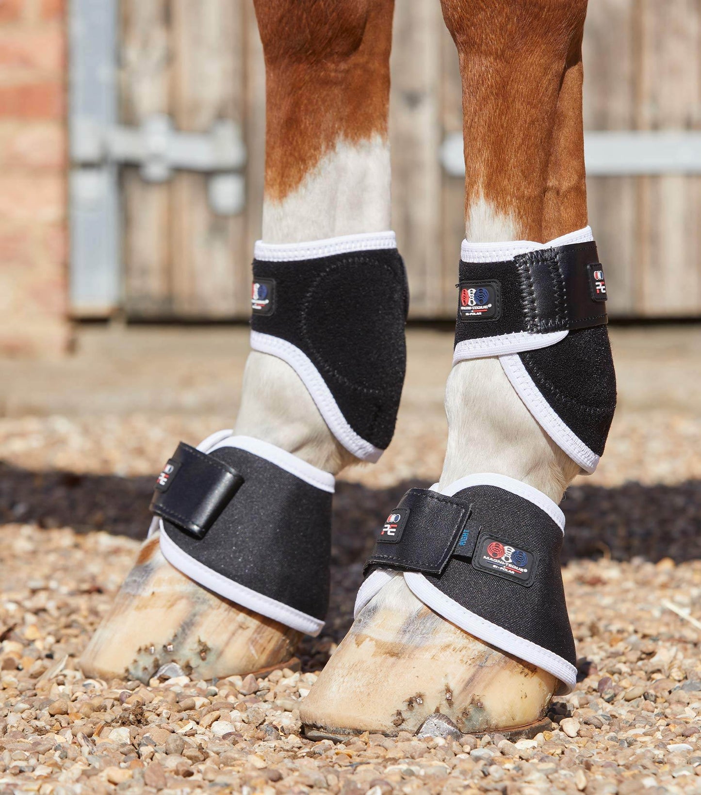 Premier Equine Magni-Teque Magnetic Hoof Boots - N P Equestrian & Pet Supplies Ltd 