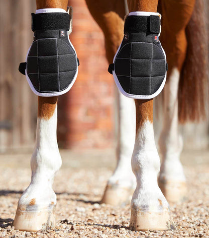 Premier Equine Magni-Teque Magnetic Horse Knee Boots - N P Equestrian & Pet Supplies Ltd 