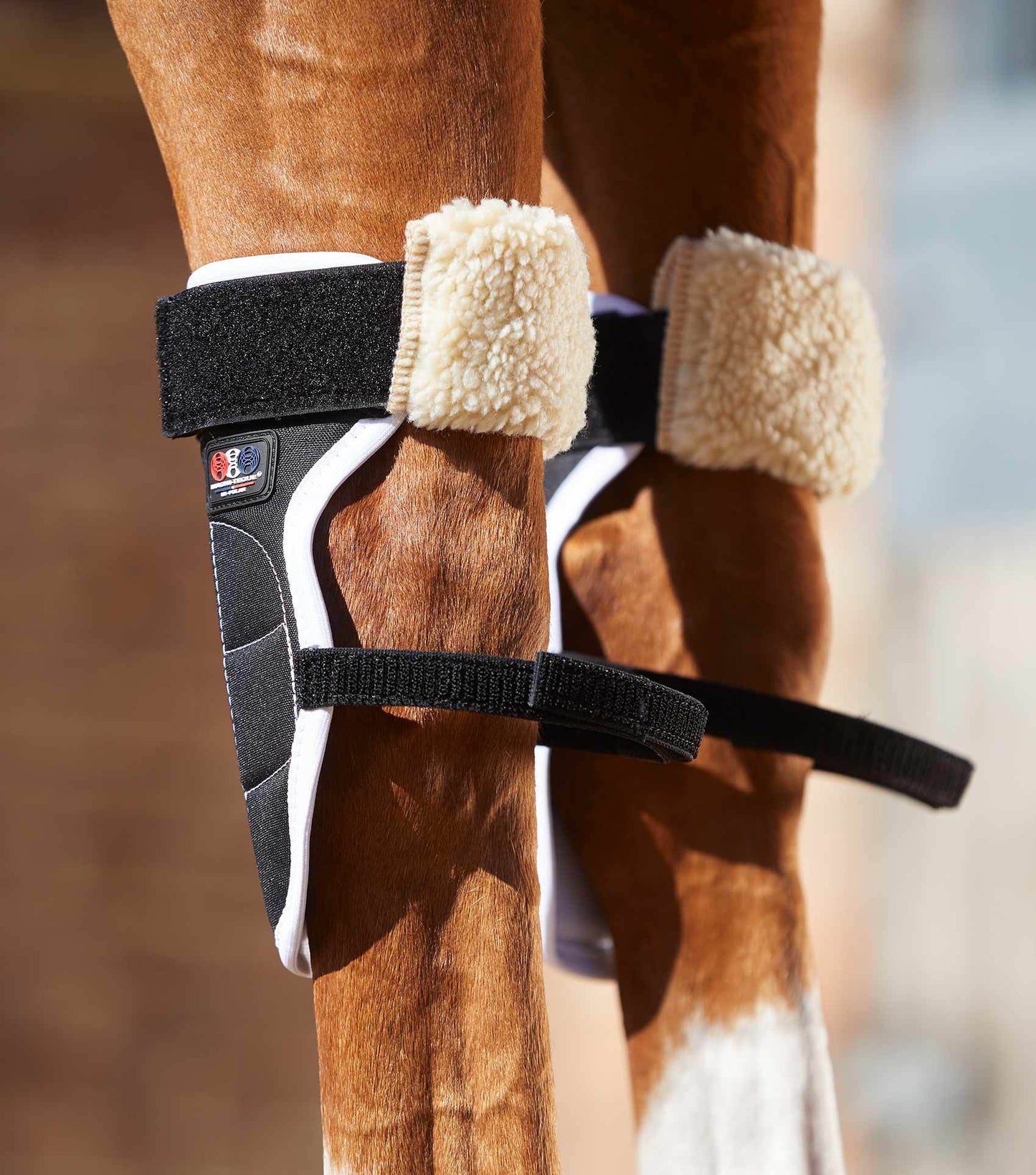 Premier Equine Magni-Teque Magnetic Horse Knee Boots - N P Equestrian & Pet Supplies Ltd 