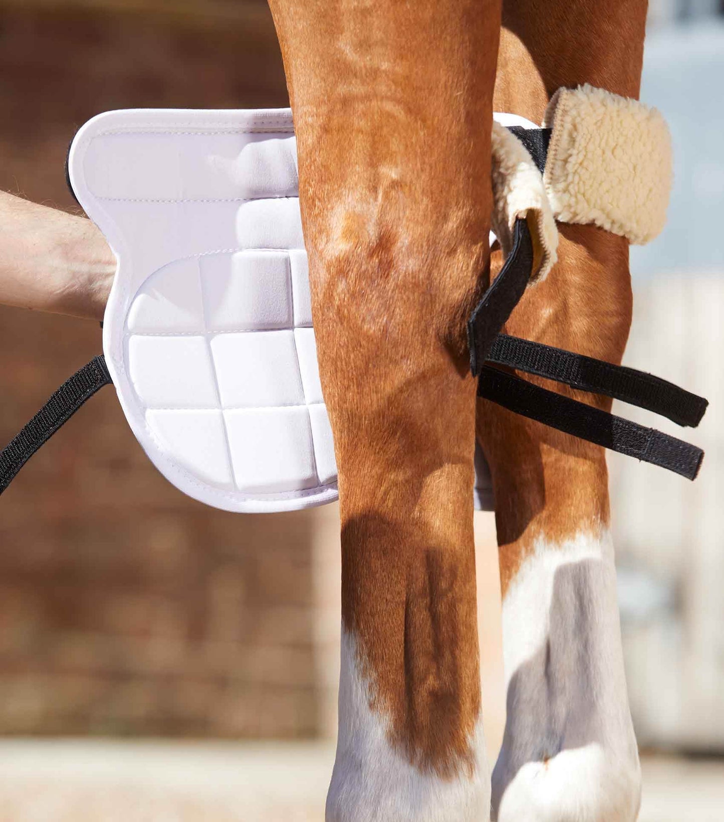 Premier Equine Magni-Teque Magnetic Horse Knee Boots - N P Equestrian & Pet Supplies Ltd 