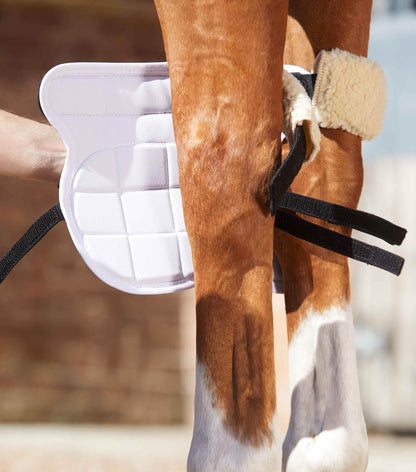 Premier Equine Magni-Teque Magnetic Horse Knee Boots - N P Equestrian & Pet Supplies Ltd 