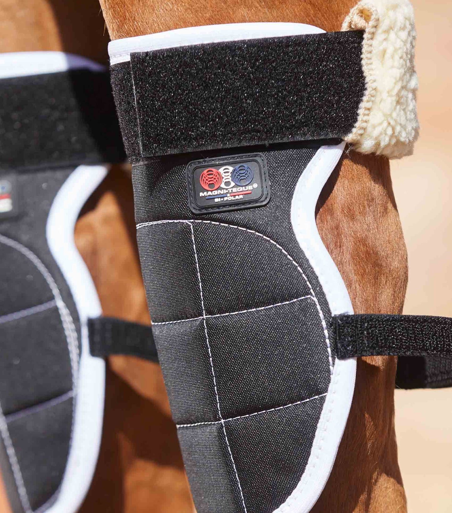 Premier Equine Magni-Teque Magnetic Horse Knee Boots - N P Equestrian & Pet Supplies Ltd 
