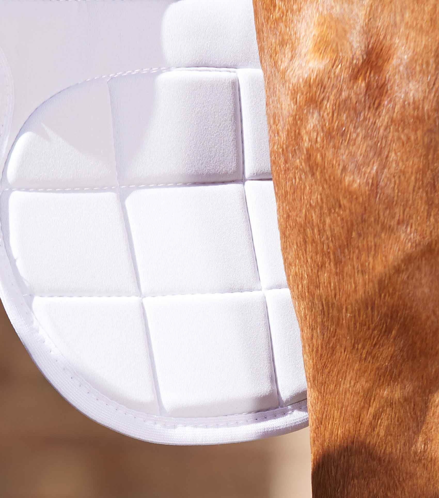 Premier Equine Magni-Teque Magnetic Horse Knee Boots - N P Equestrian & Pet Supplies Ltd 