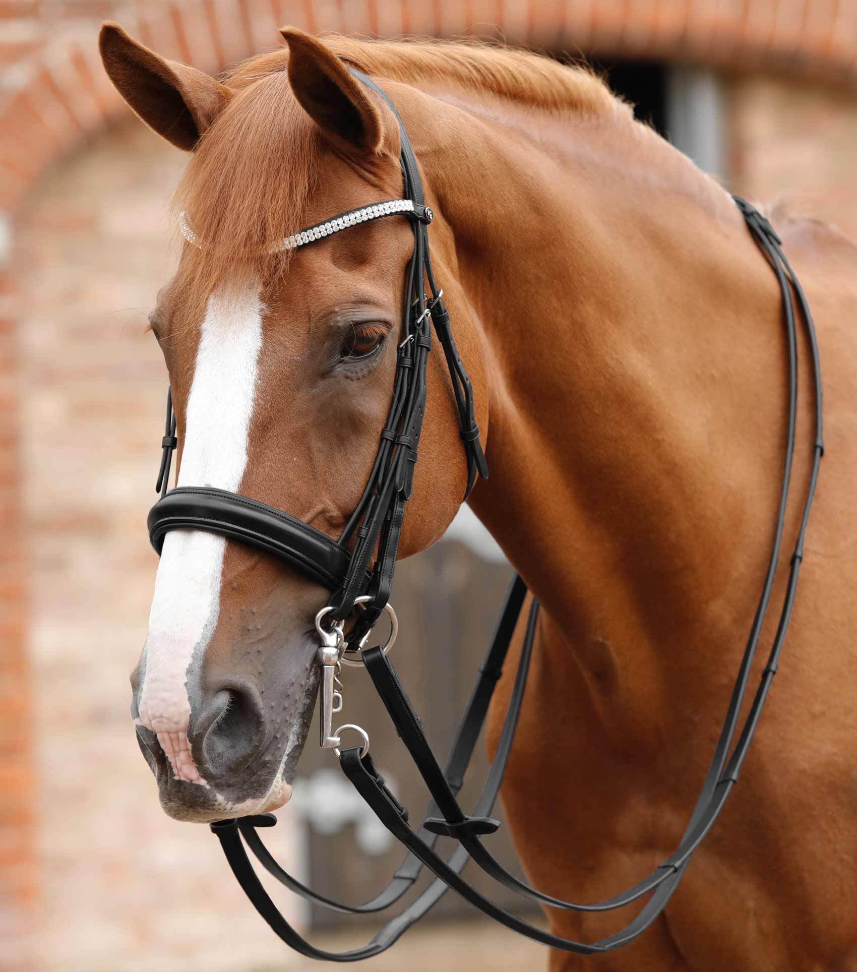 Premier Equine Matteo Leather Grip Reins - N P Equestrian & Pet Supplies Ltd 