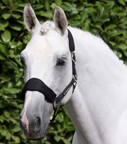 Premier Equine Necto 3D Mesh Head Collar with Lead Rope - Black
