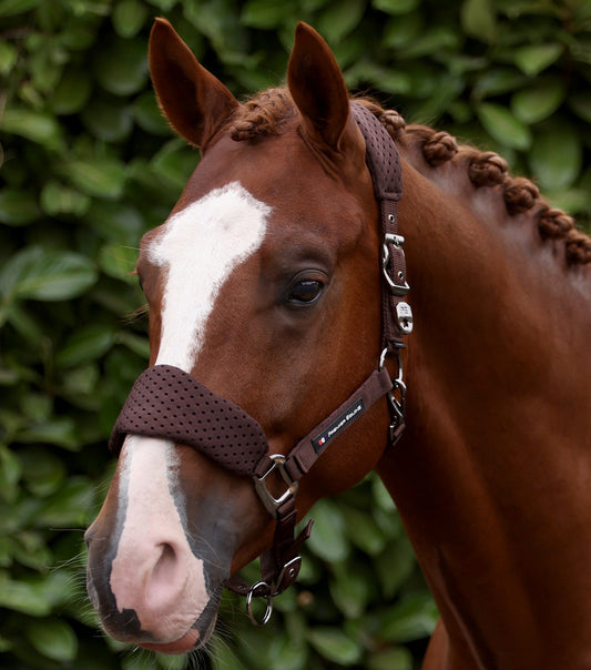 Premier Equine Necto 3D Mesh Head Collar with Lead Rope - Brown