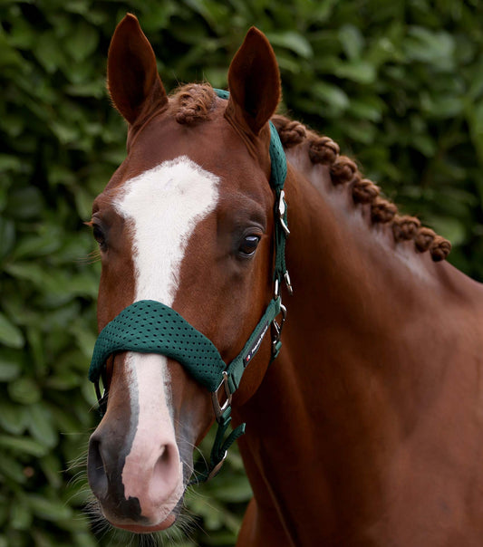 Premier Equine Necto 3D Mesh Head Collar with Lead Rope - Green
