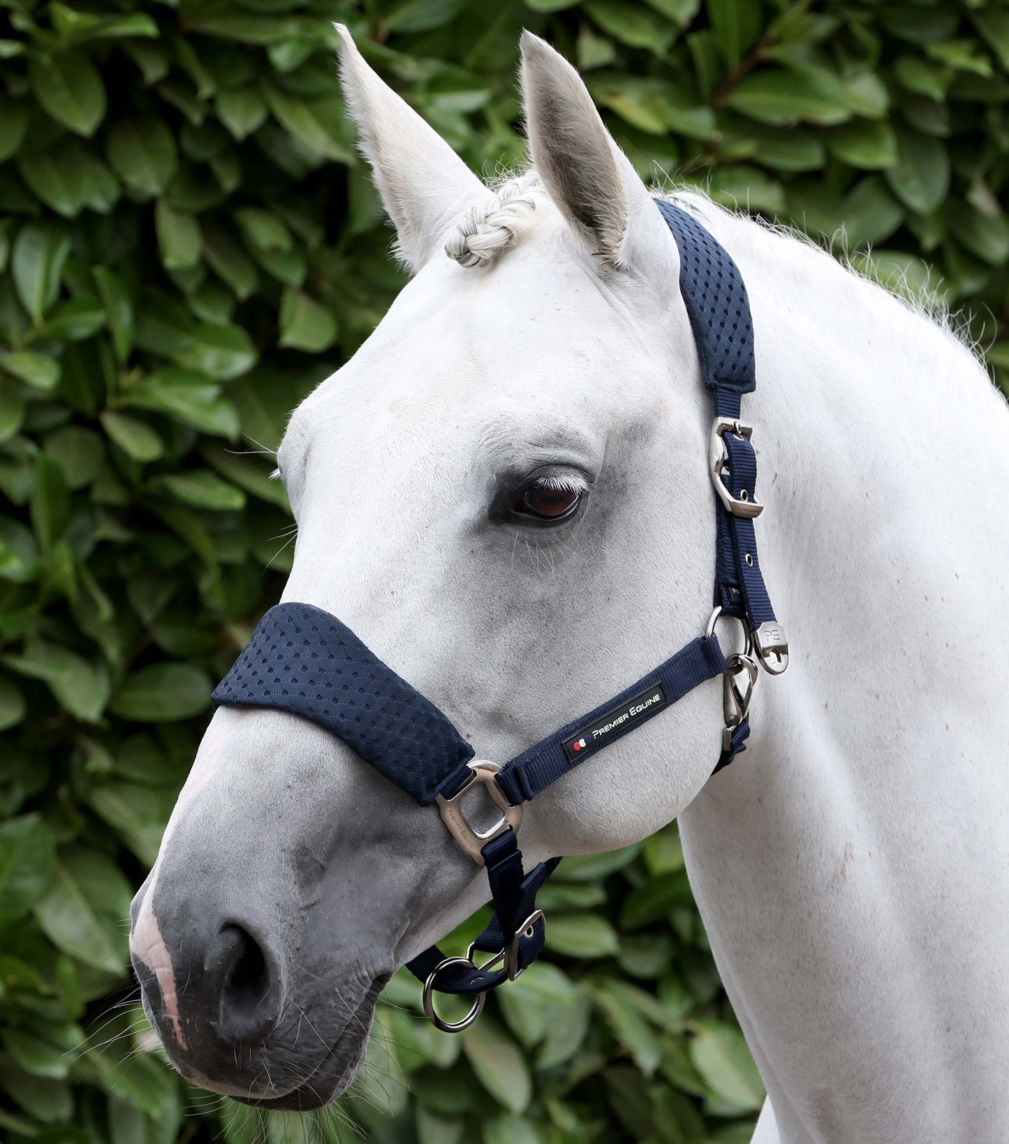 Premier Equine Necto 3D Mesh Head Collar with Lead Rope - Navy