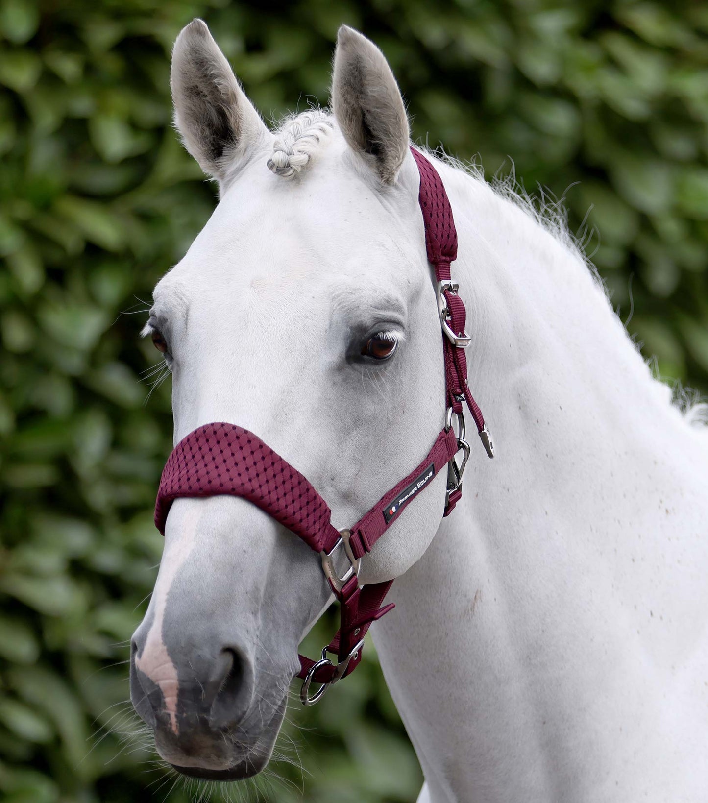 Premier Equine Necto 3D Mesh Head Collar with Lead Rope - Burgundy