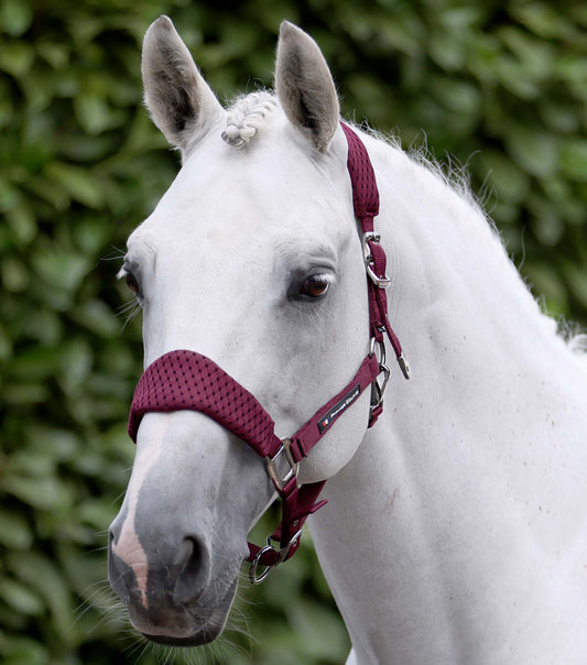 Premier Equine Necto 3D Mesh Head Collar with Lead Rope - Burgundy