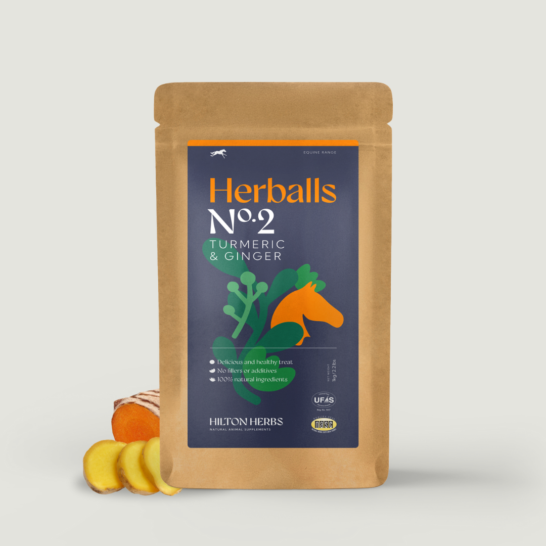 Hilton Herbs Herballs N°. 2 Turmeric & Ginger - N P Equestrian & Pet Supplies Ltd