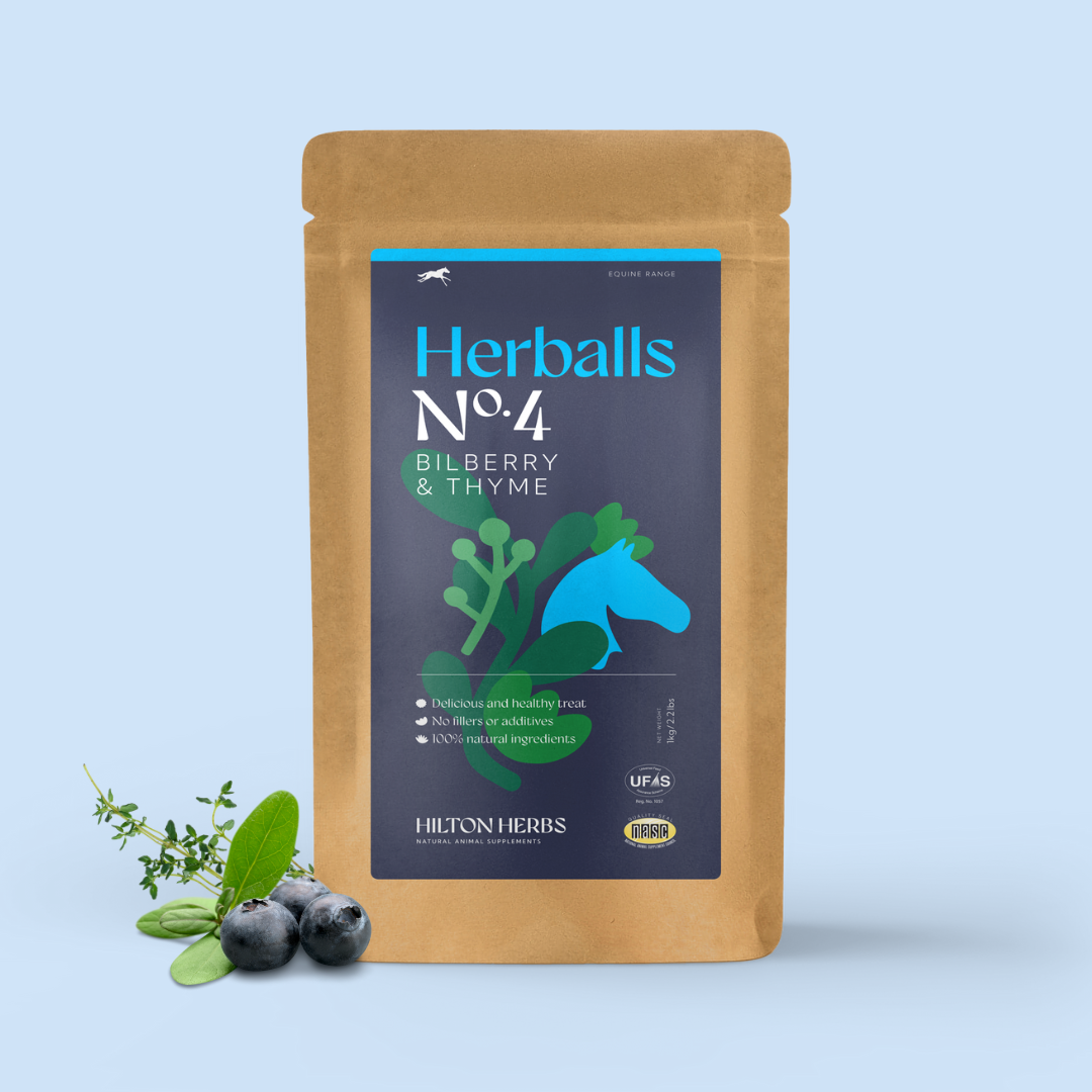 Hilton Herbs Herballs N°. 4 Bilberry & Thyme - N P Equestrian & Pet Supplies Ltd