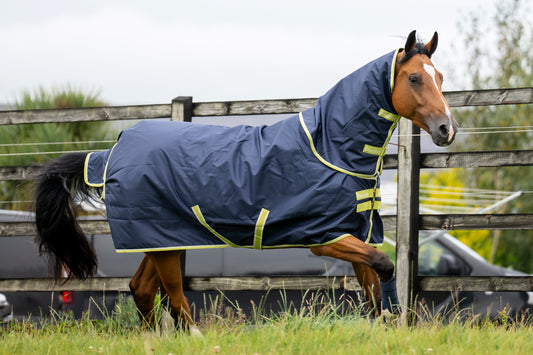 Bucas Oasis 100g Turnout Rug With Neck - Grey/Lime