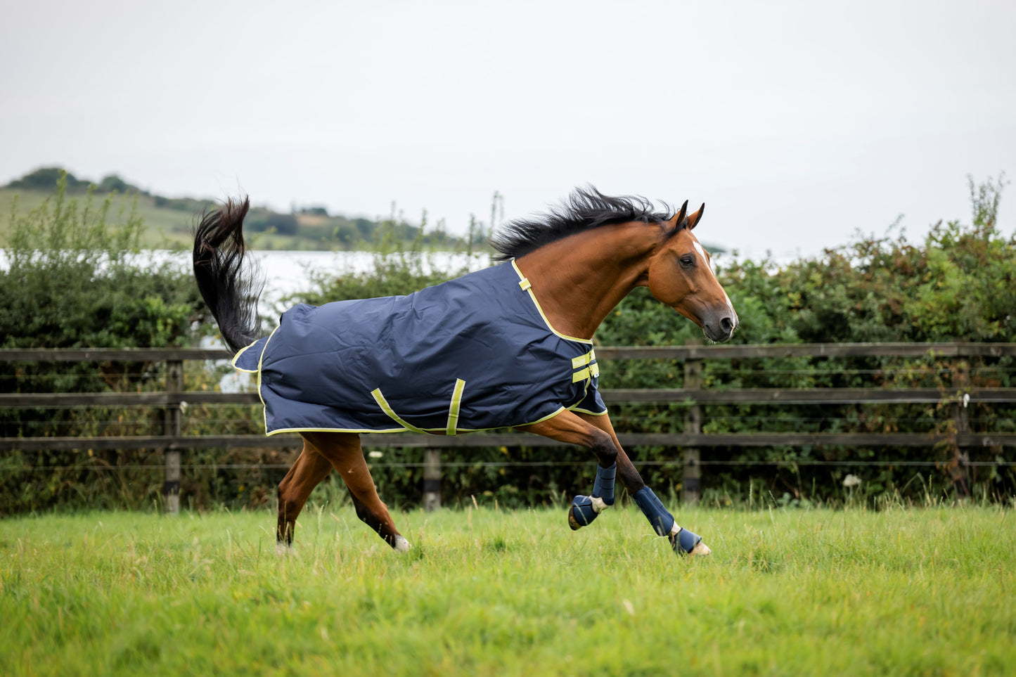Bucas Oasis 100g Turnout Rug With Neck - Grey/Lime