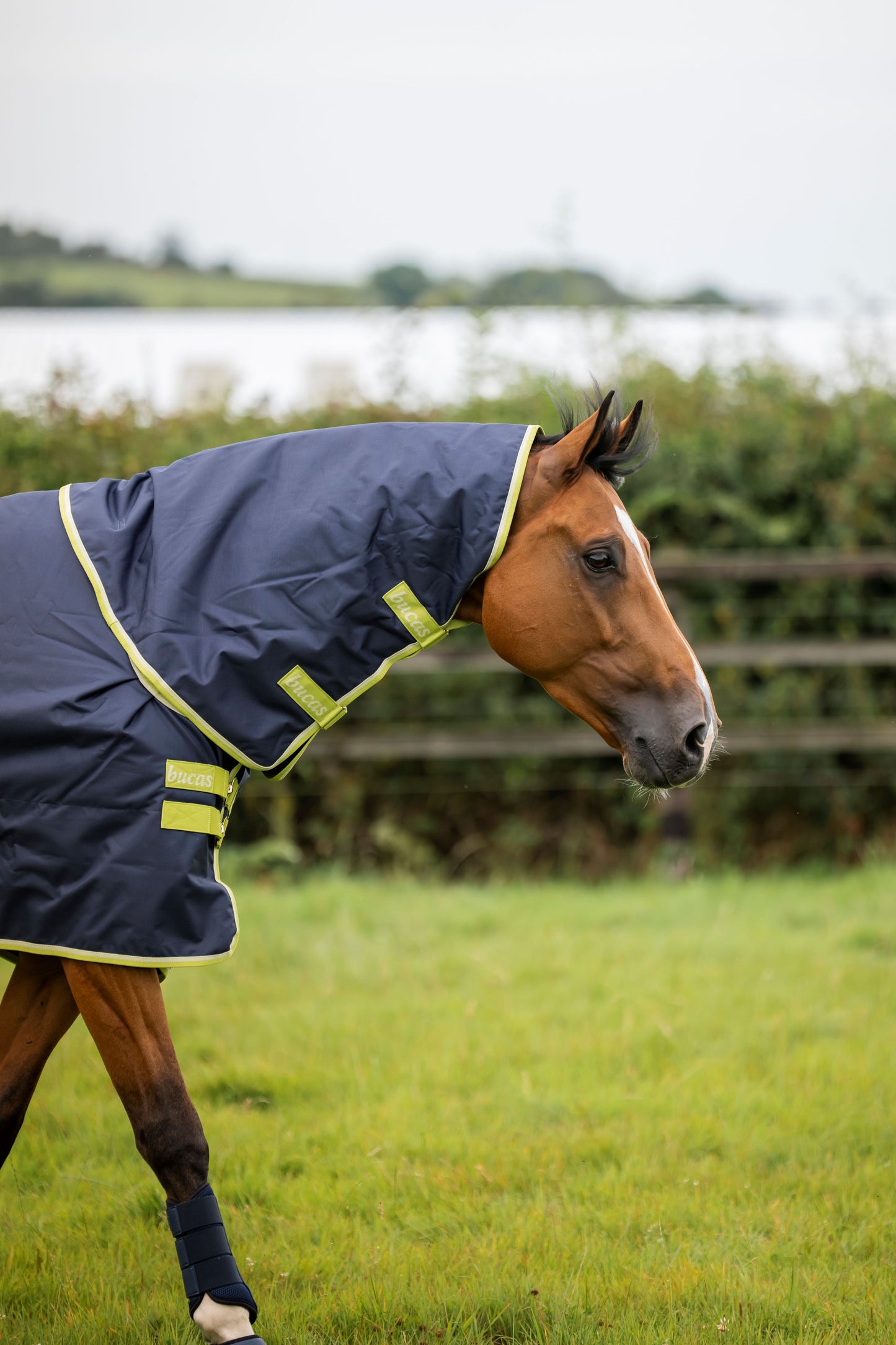Bucas Oasis 100g Turnout Rug With Neck - Grey/Lime