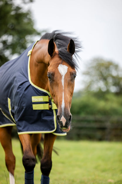 Bucas Oasis 100g Turnout Rug With Neck - Grey/Lime