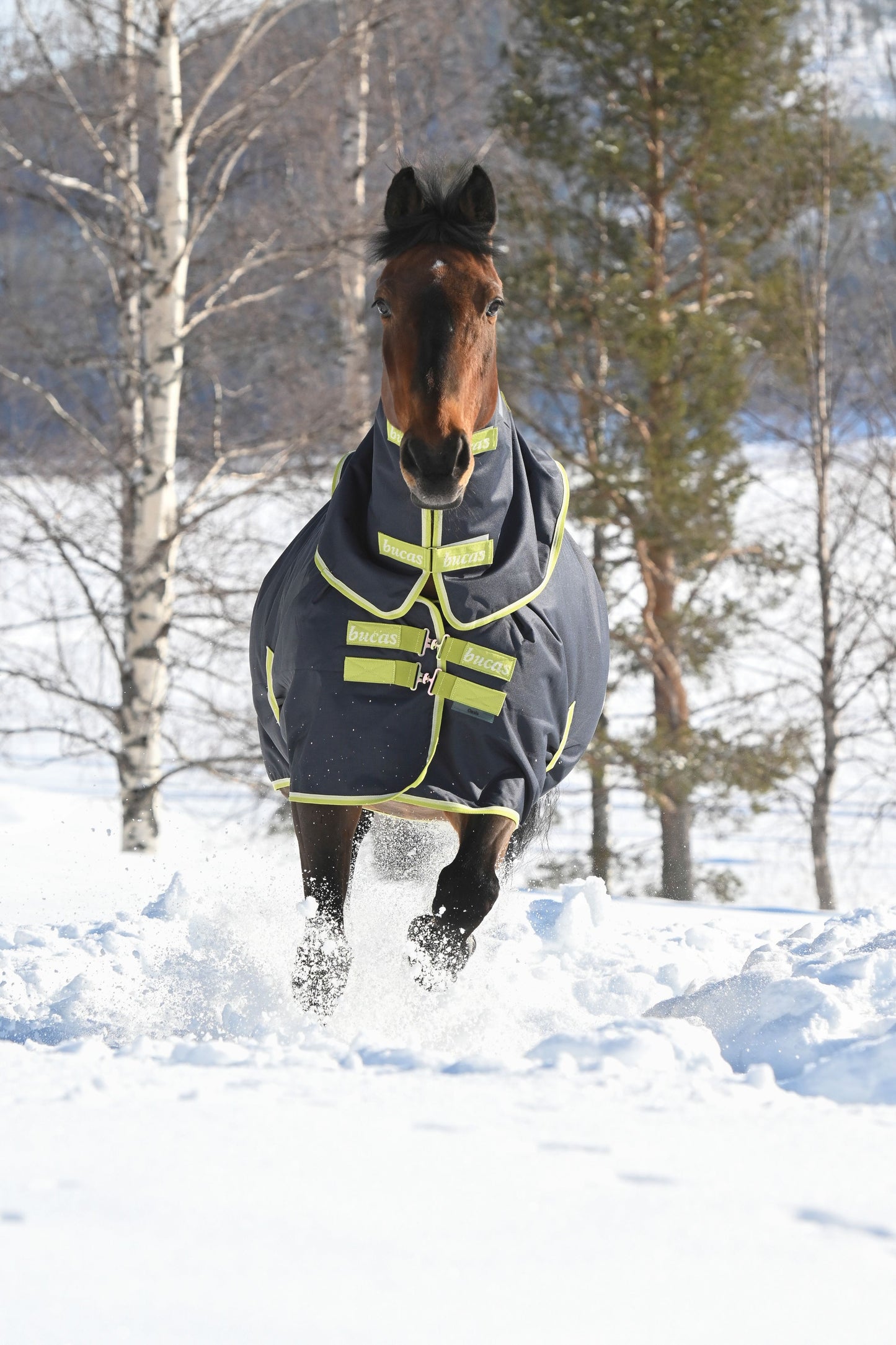 Bucas Oasis 200g Turnout Rug With Neck - Grey/Lime